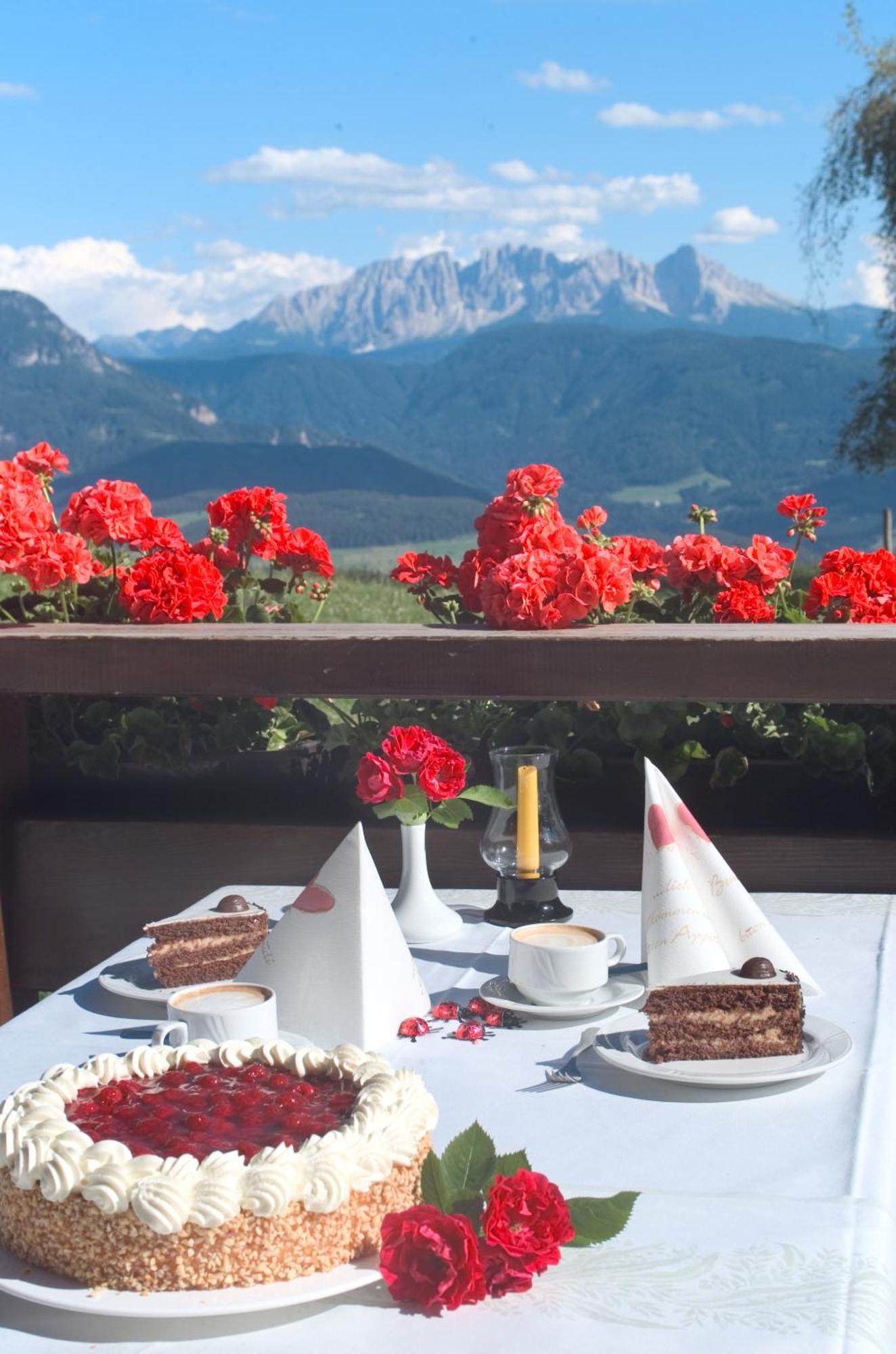 Hotel Ansitz Kematen ***S Collalbo Δωμάτιο φωτογραφία